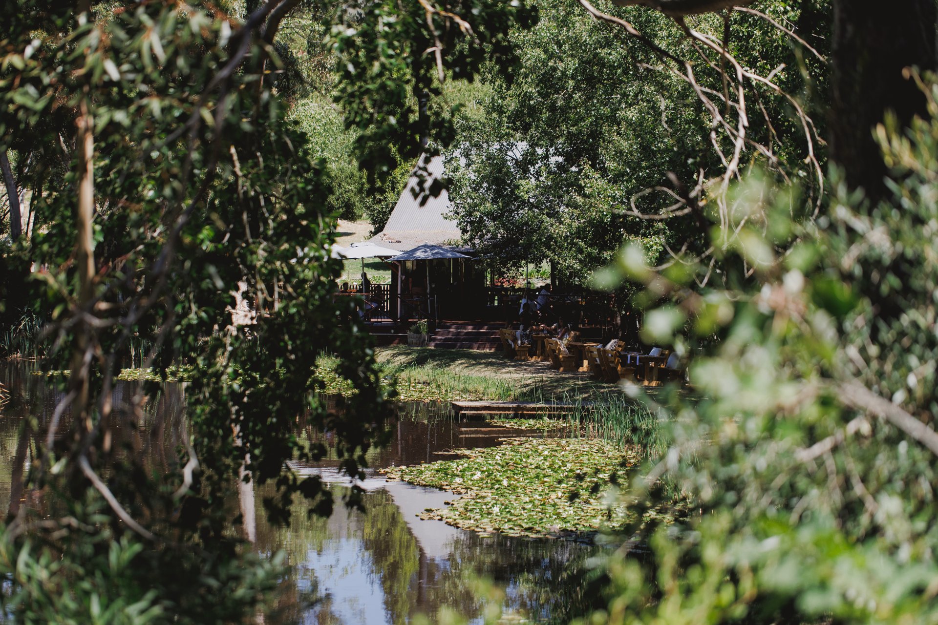 A view through the trees and across the dam to Melfort at Marianne Wine Estate